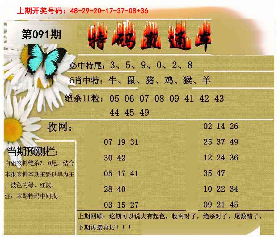 091期特码直通车[图]